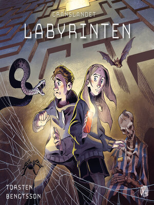cover image of Labyrinten